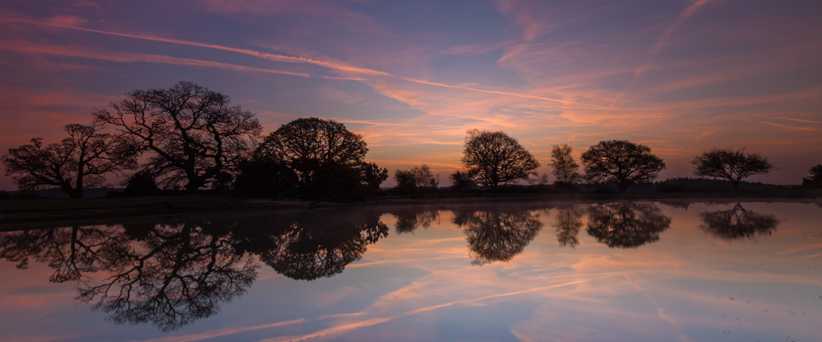 Mogshade Pond, Pre-Dawn